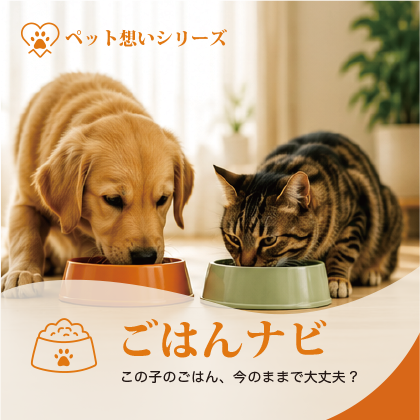 自然光の入る室内でごはんを食べる犬と猫。ごはんナビの公式サムネイル